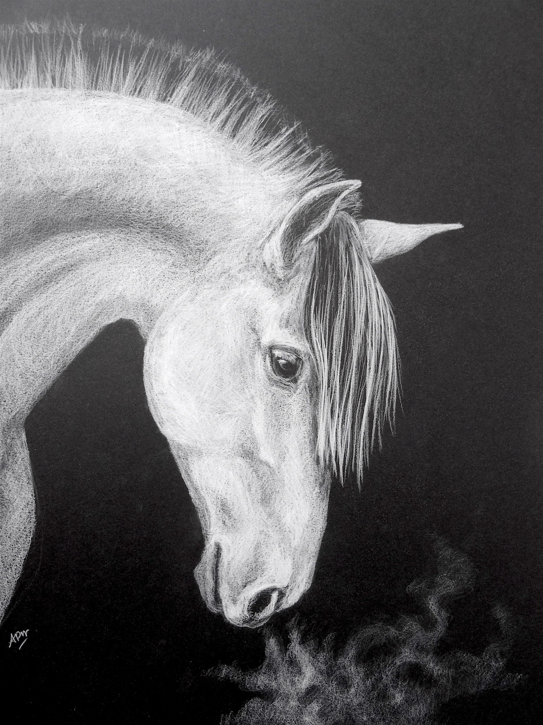 the-white-horse