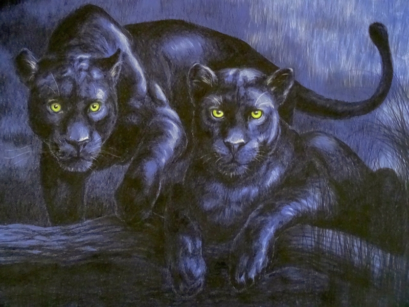 pair-jaguars