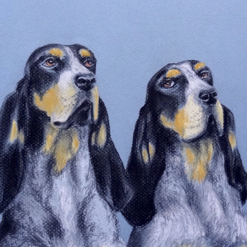 hound
