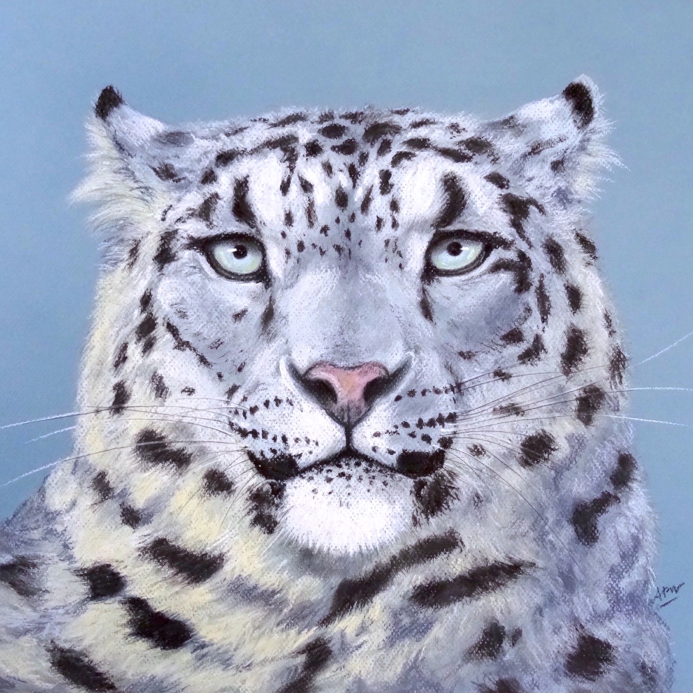 big-cats