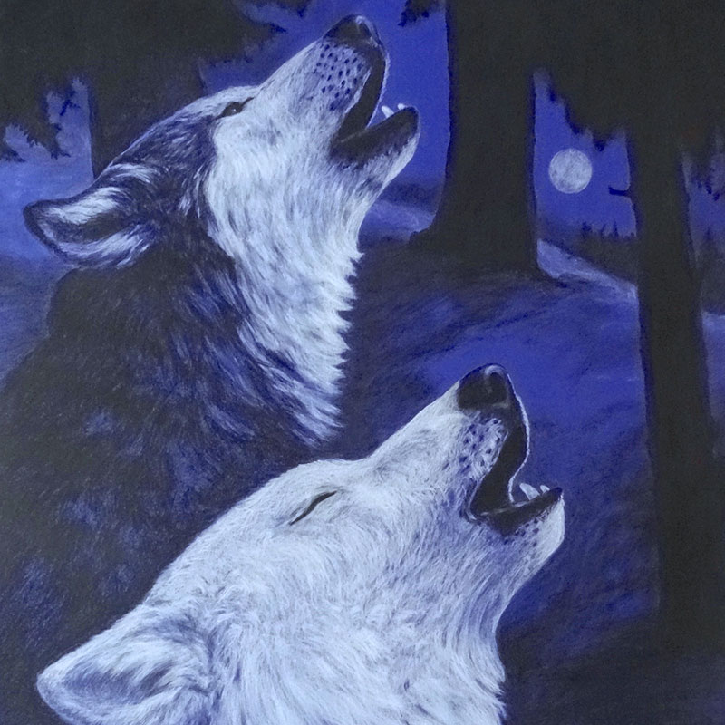 loups