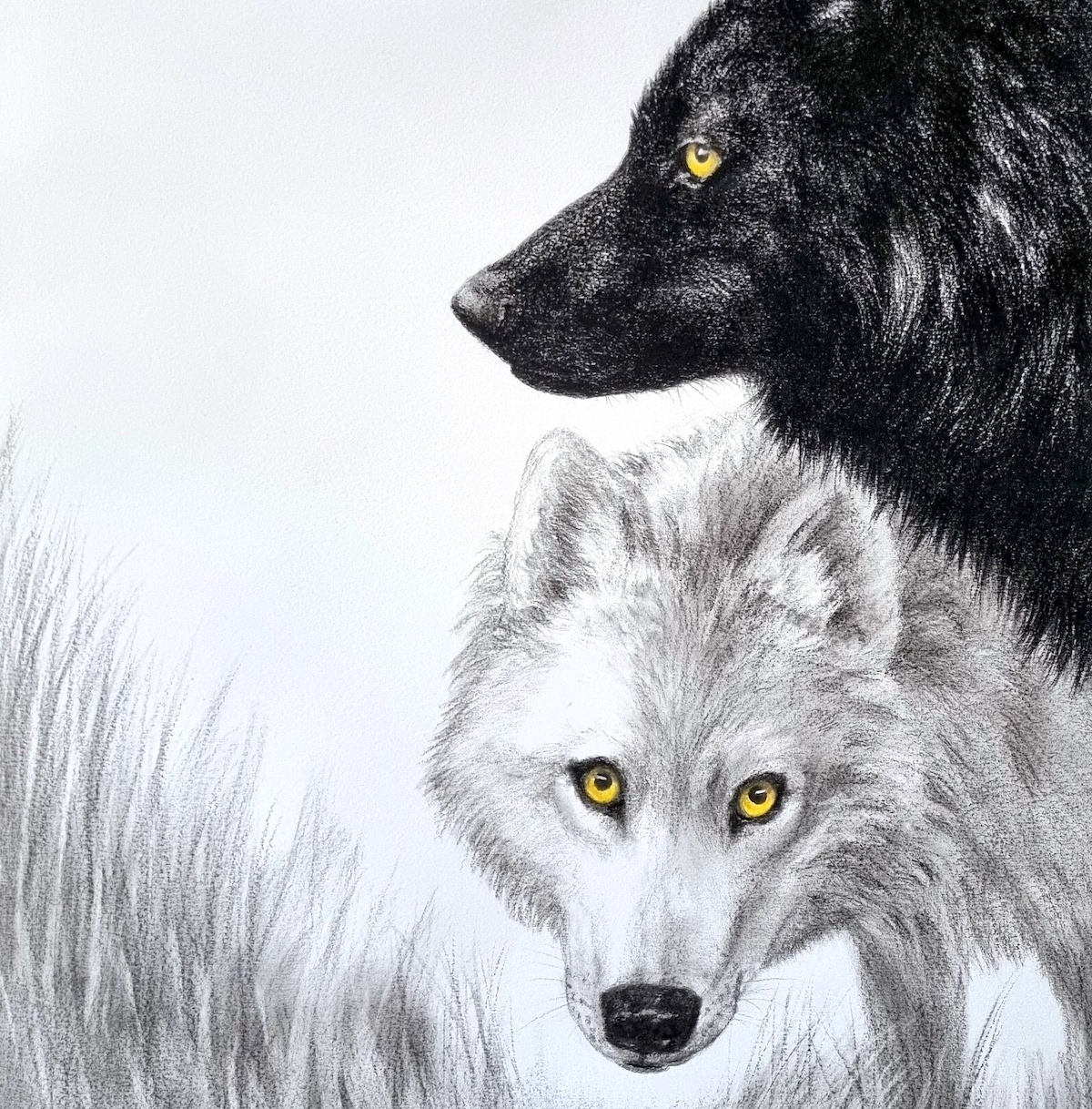 wolves