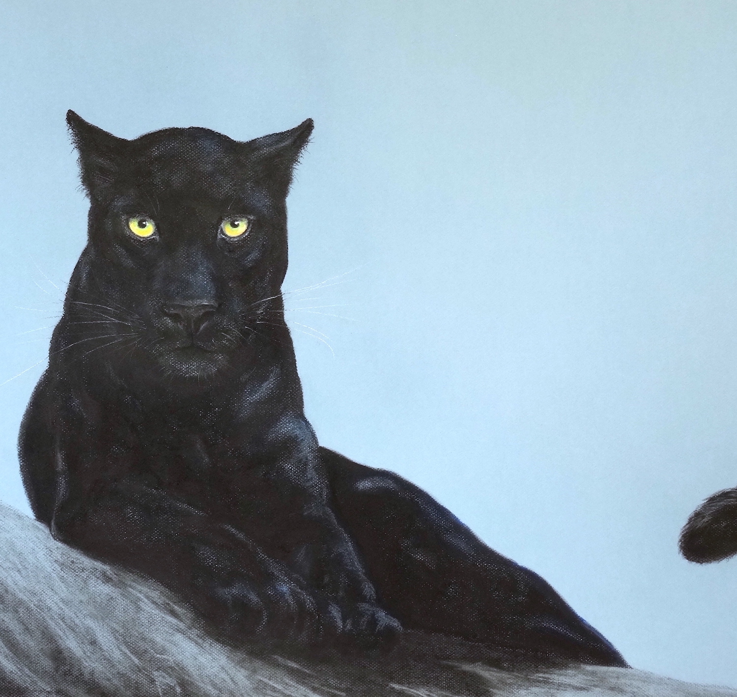black-panthers