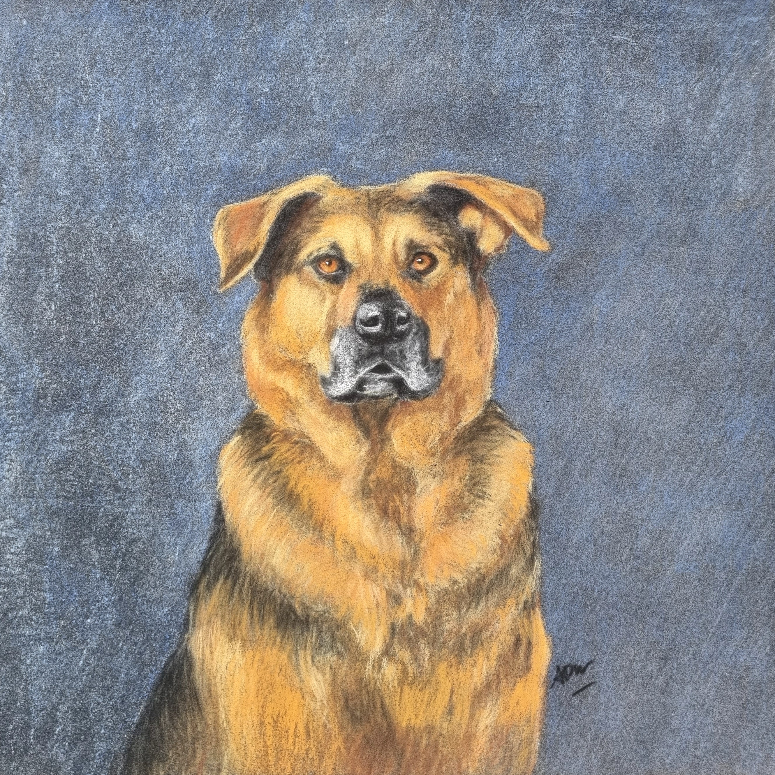 baloo-dessin-sur-commande