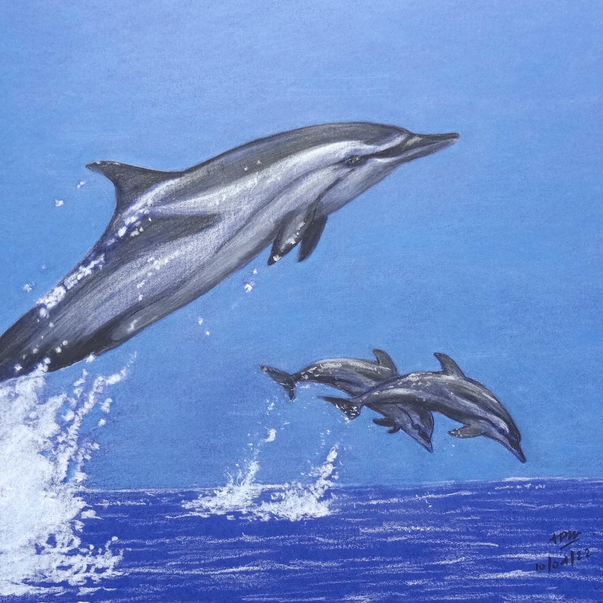 dauphins