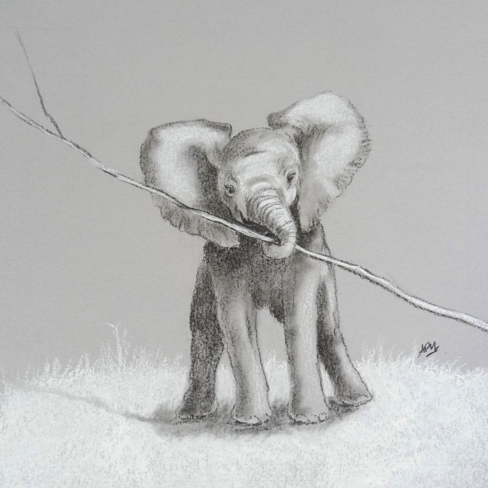 elephanteau-1