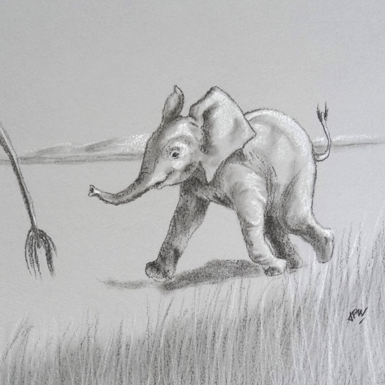 elephanteau-2
