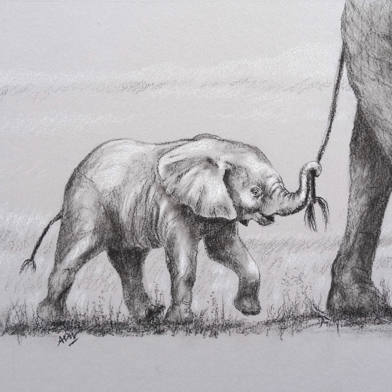 elephanteau-queue-maman