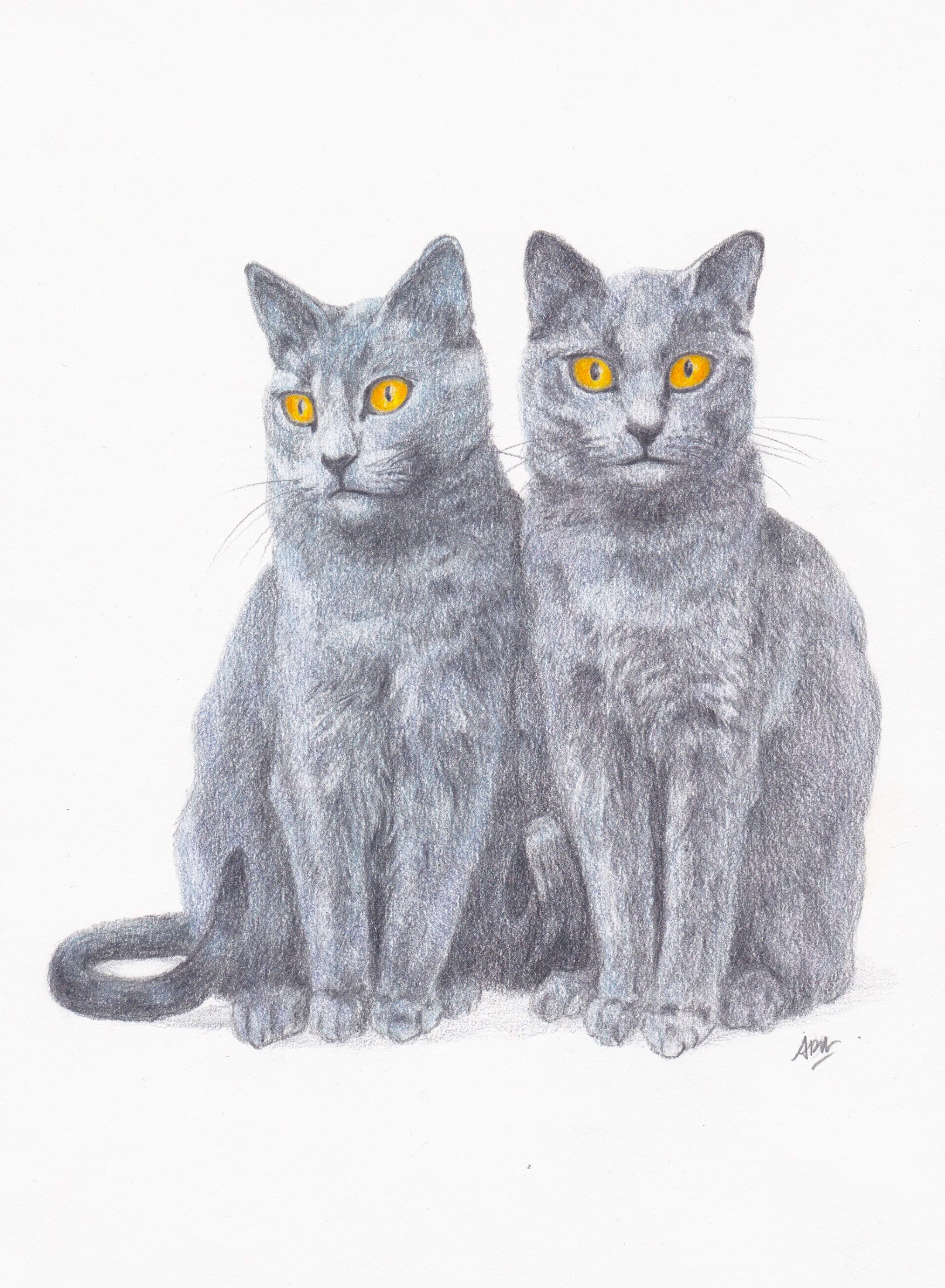 freres-chartreux-dessin-sur-commande