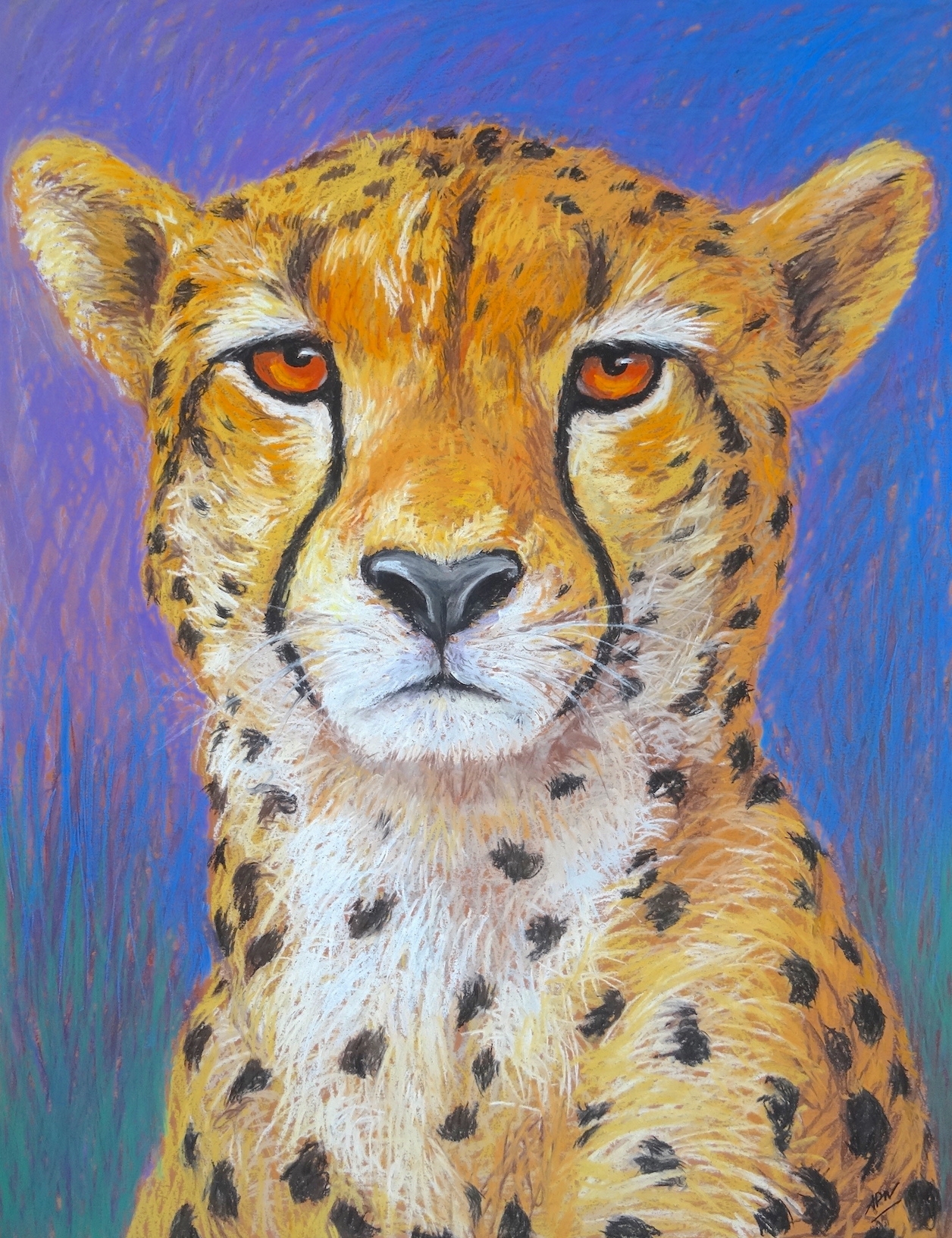guepard-portrait