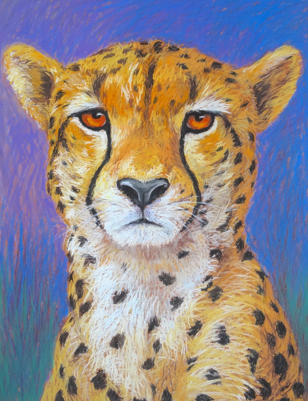 cheetah-portrait