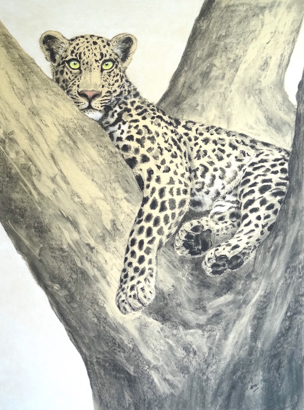 young-leopard