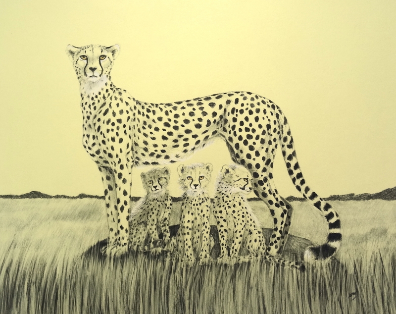 la-meilleure-place-a-l-ombre-famille-de-guepards