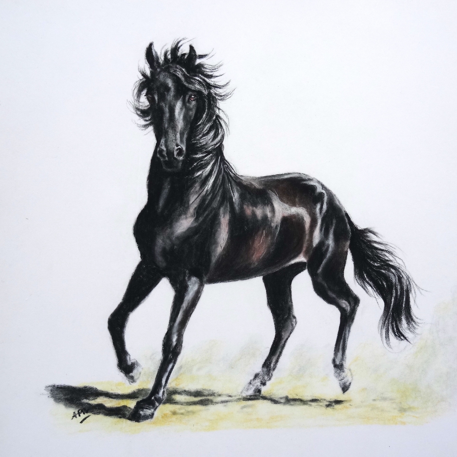 le-cheval-noir-30x30cm