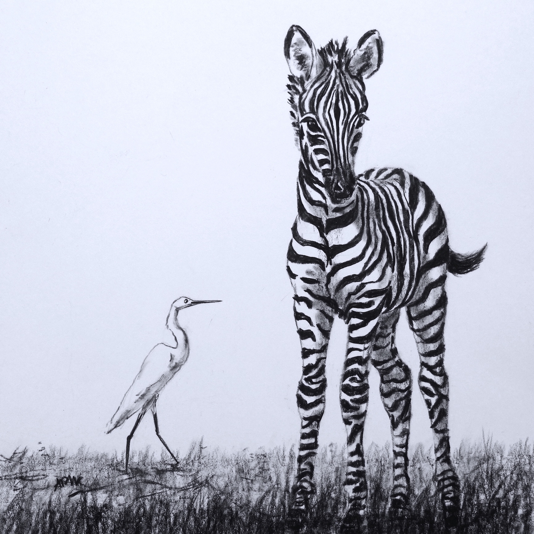 zebra-and-egret