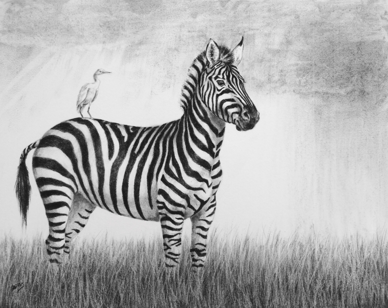 zebra-and-egret