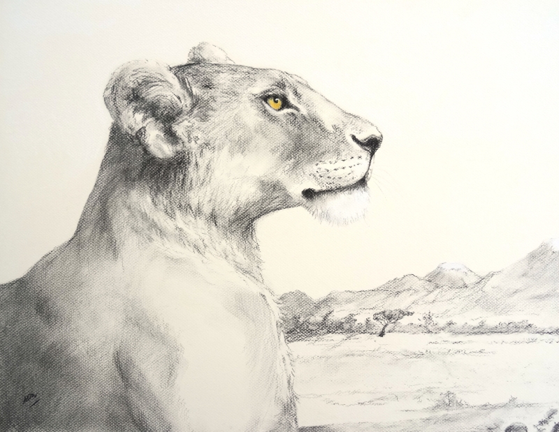 lionne-la-sentinelle-50x60cm