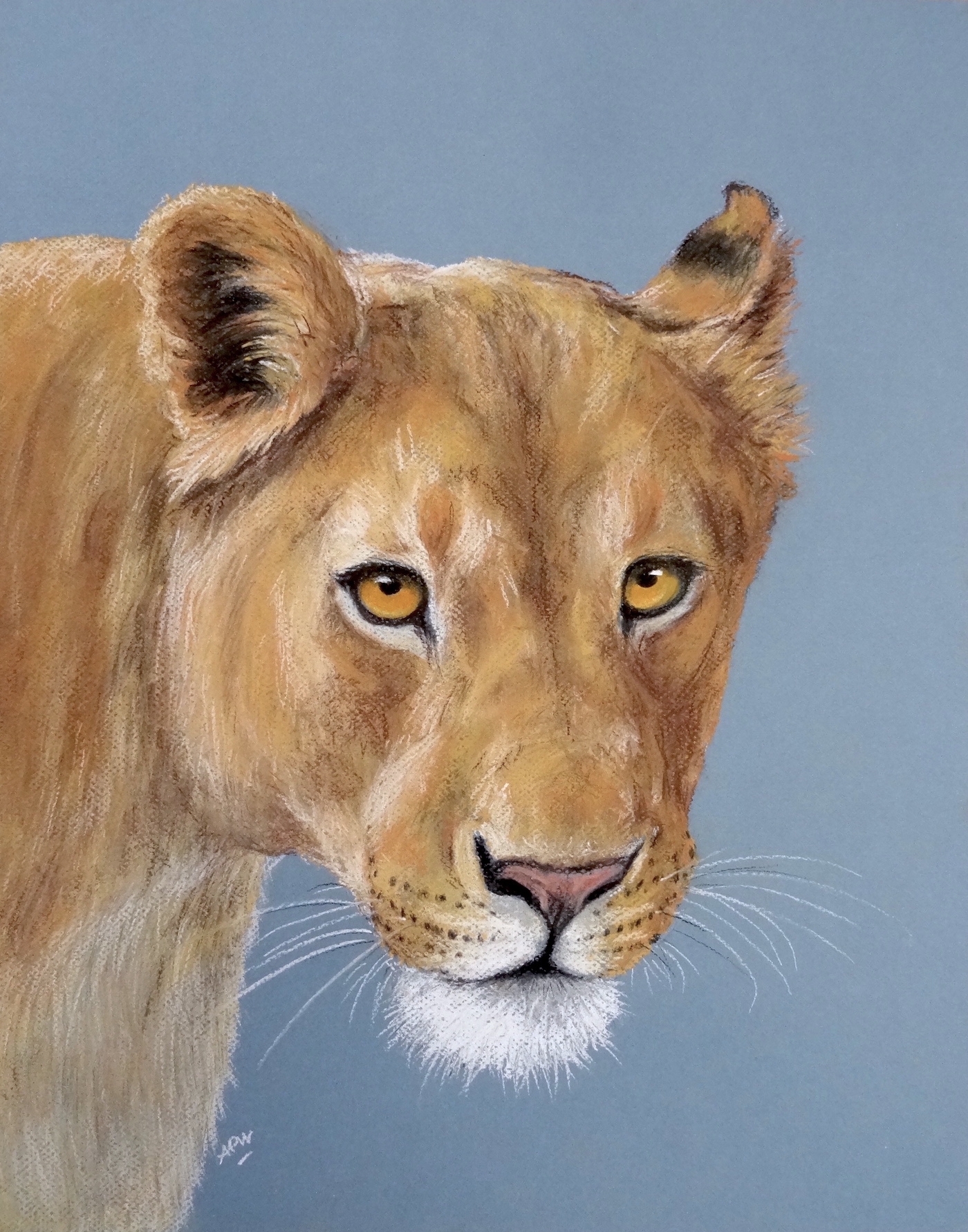 lionness-pastel