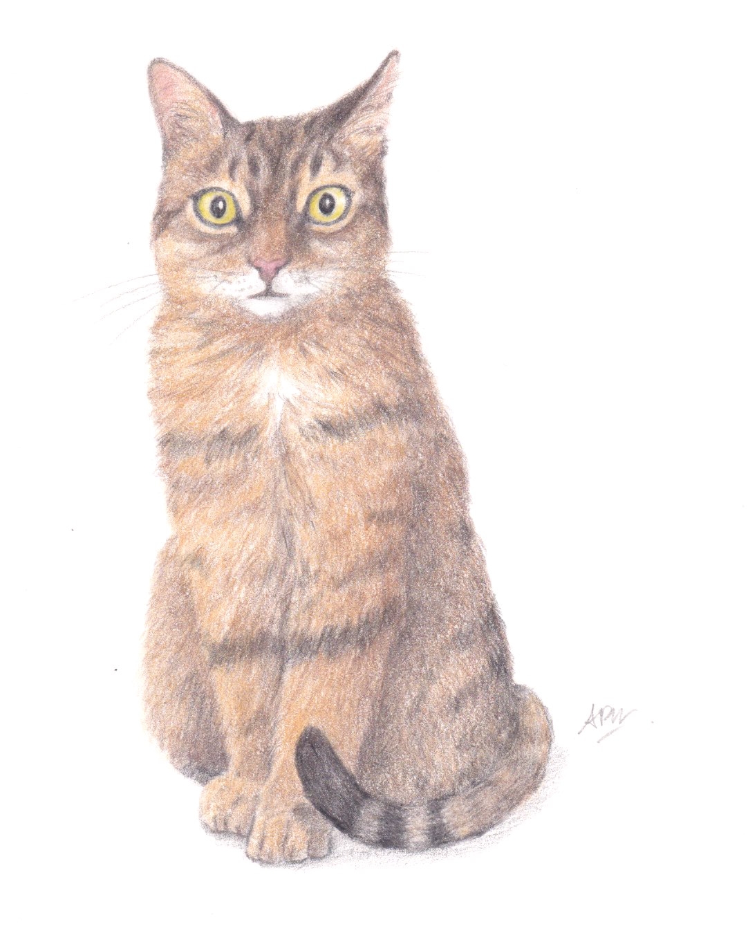 lottie-dessin-sur-commande