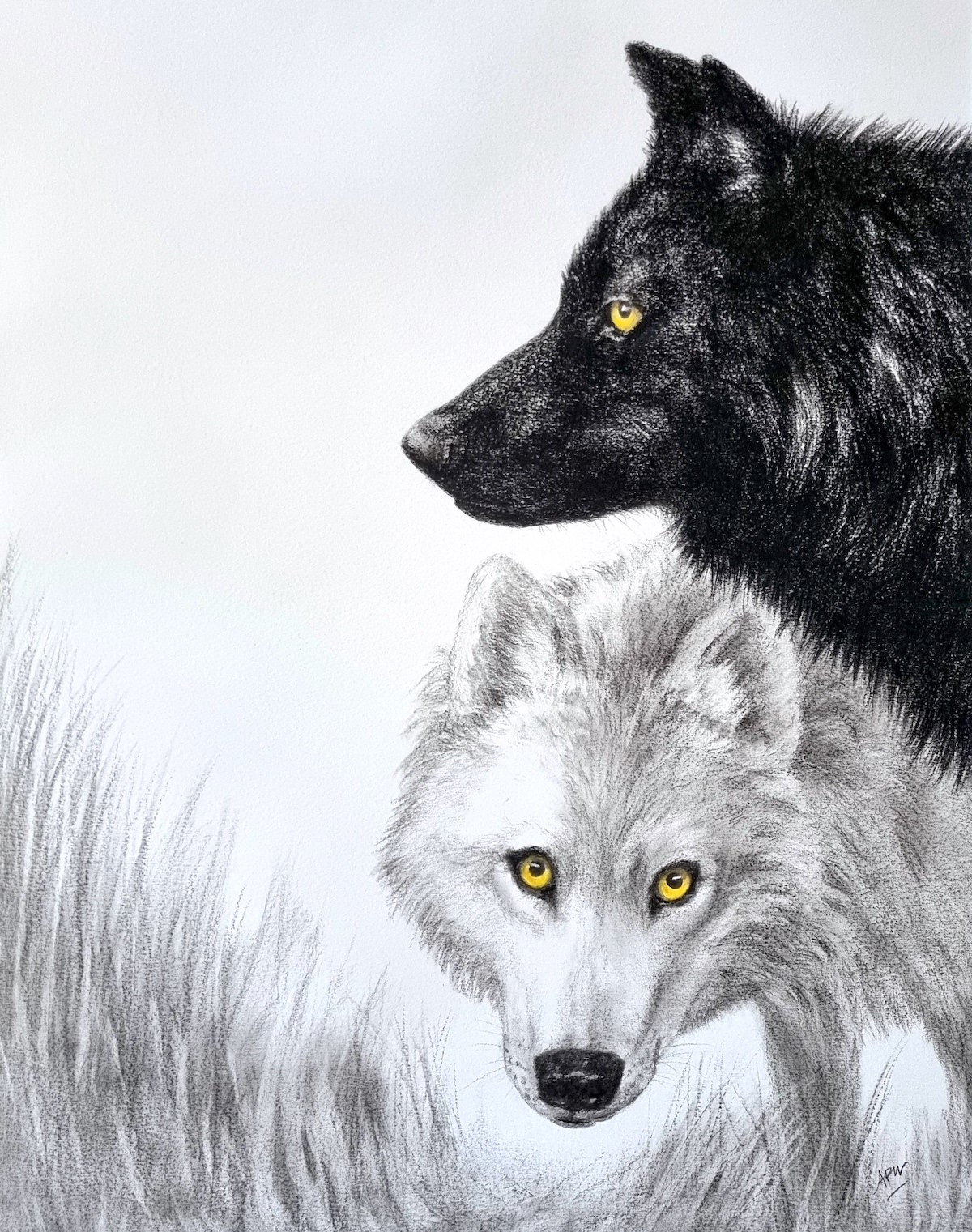 b-w-wolves