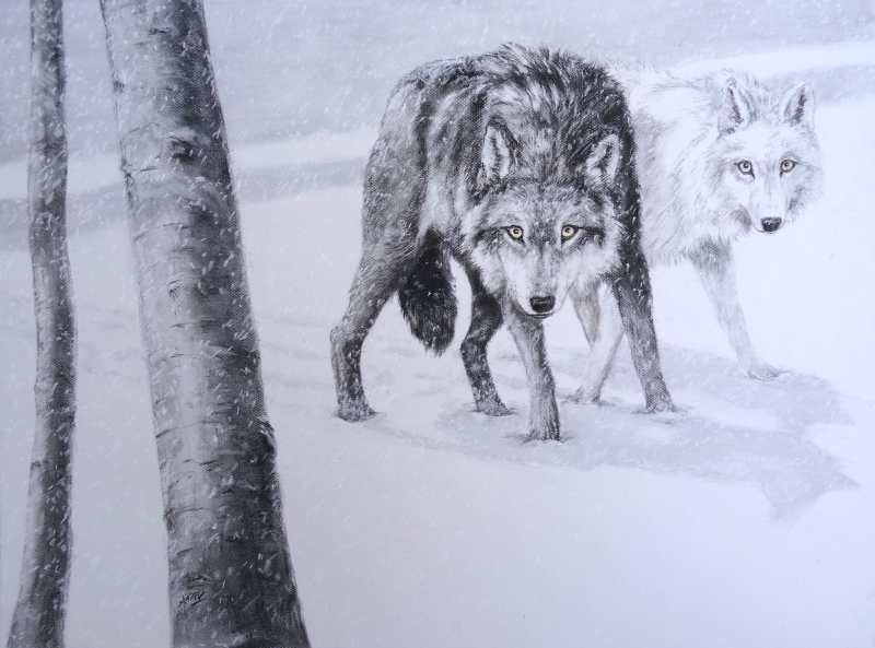 loups-sous-la-neige-60x80cm