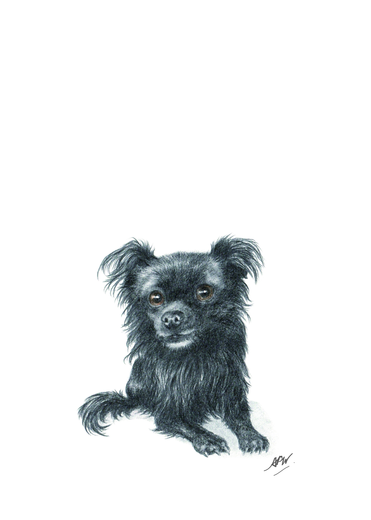 lucky-dessin-sur-commande