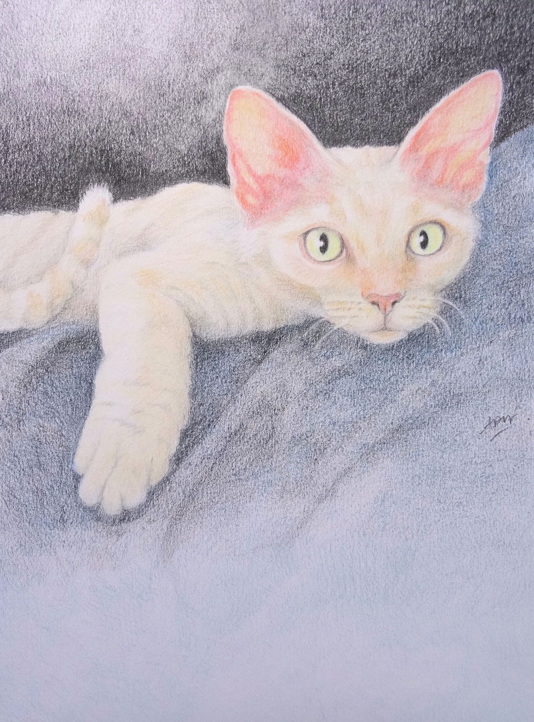 lulu-dessin-sur-commande