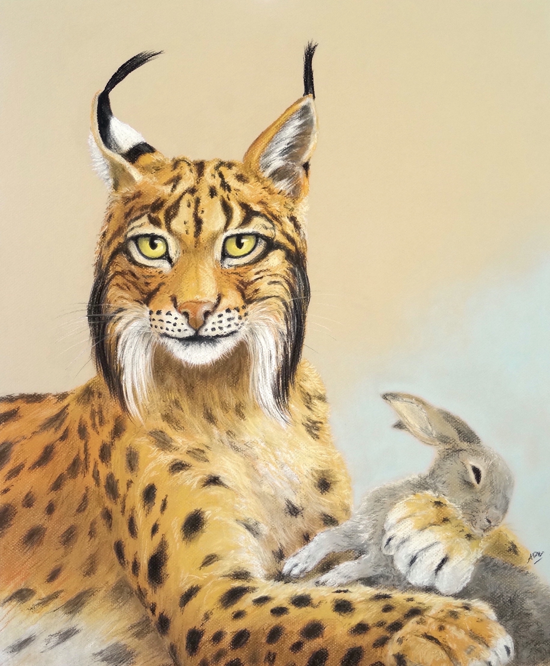 lynx-mon-doudou-50x60cm