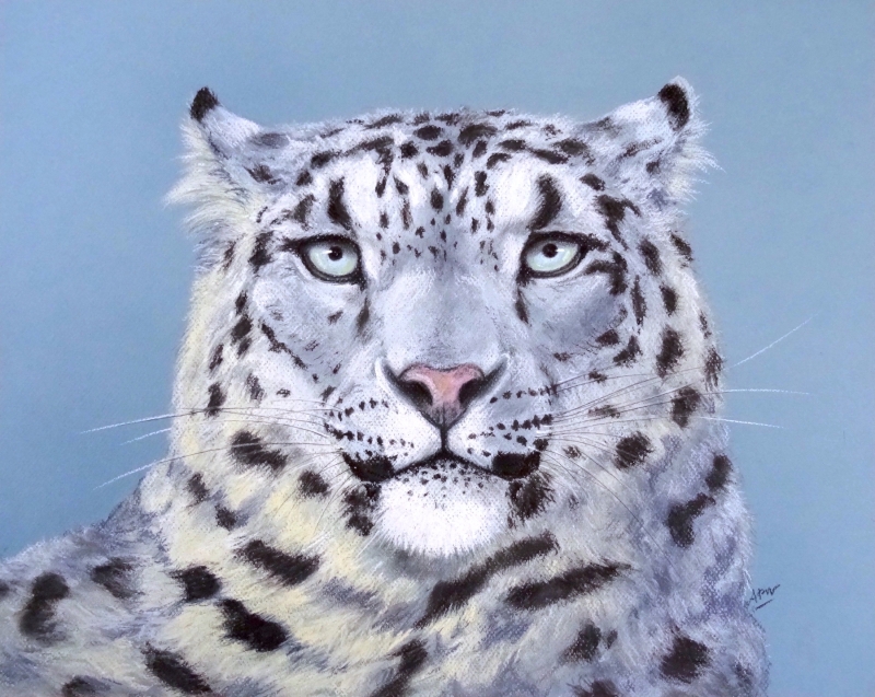 snow-leopard-pastel