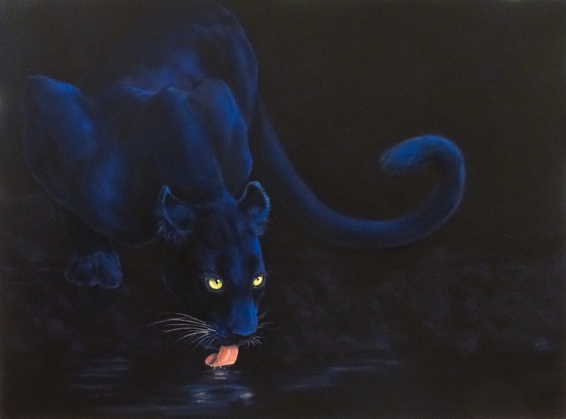 panthere-noire-la-soif