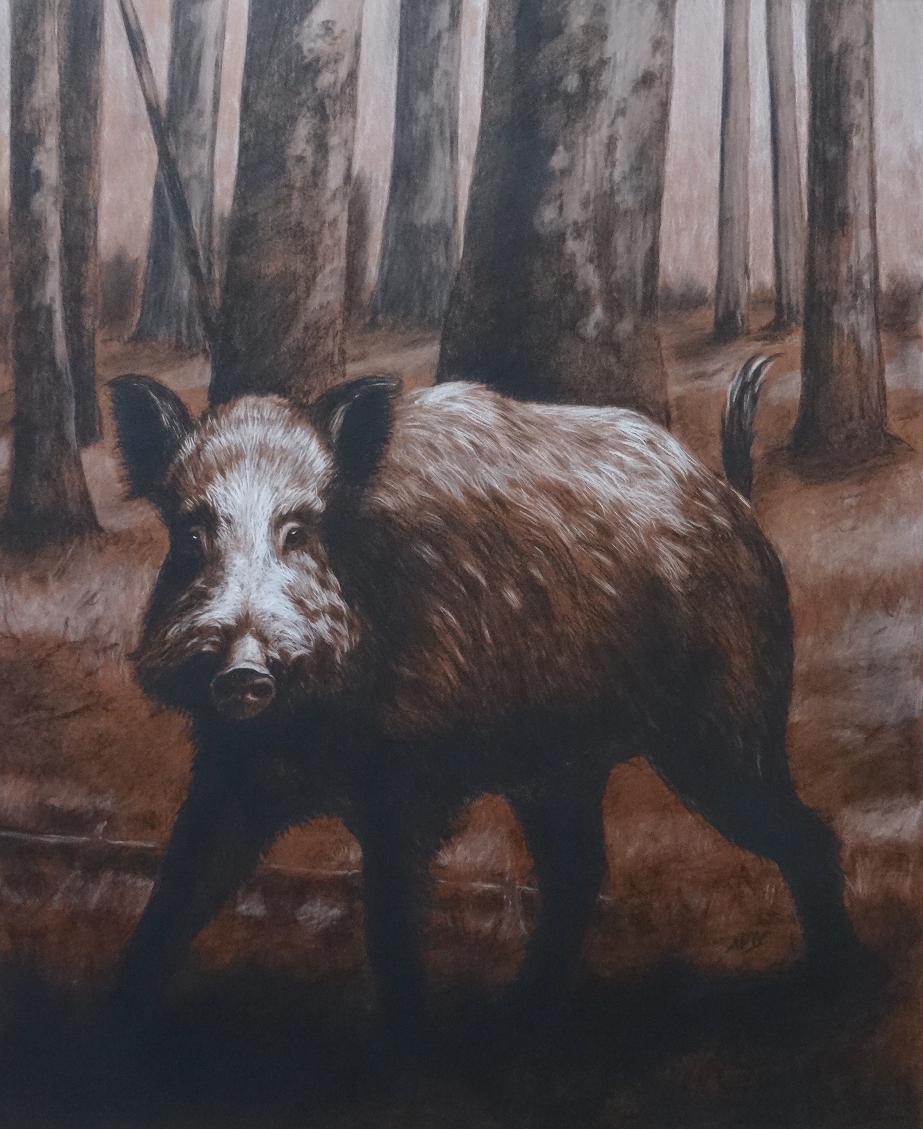 sanglier-dans-la-foret-pierre-noire-craie-blanche-60x70cm