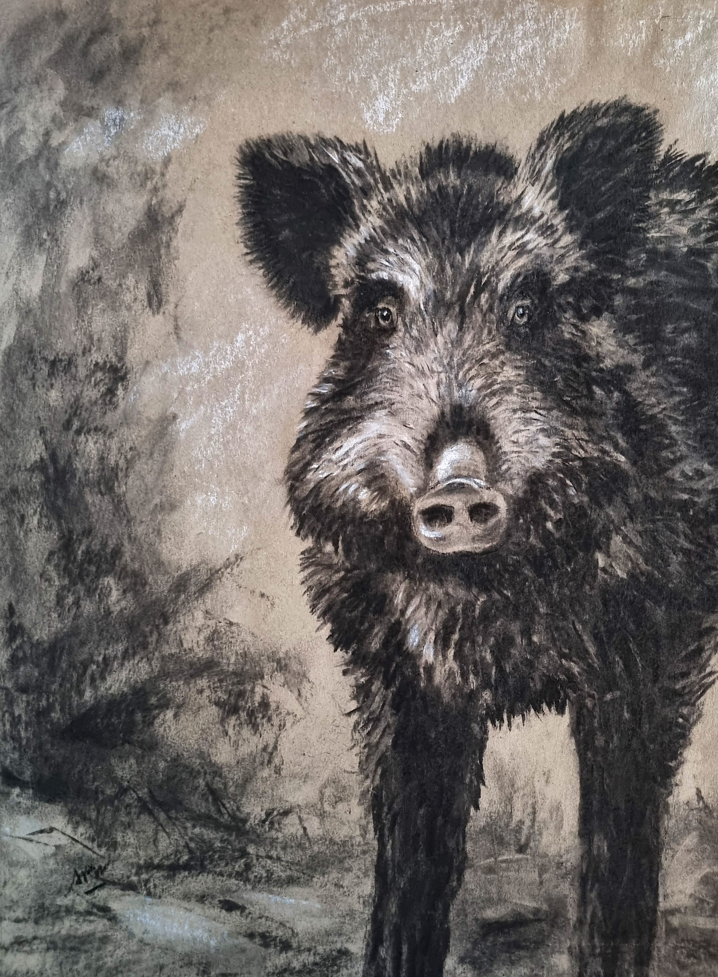 sanglier-sur-papier-recycle-non-encadre-30x40cm