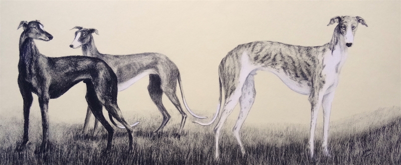 three-greyhounds