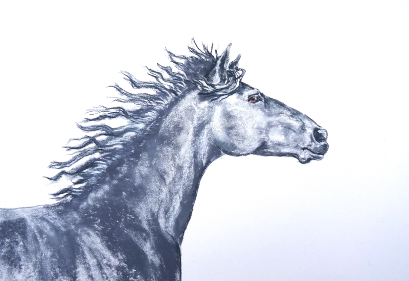 yearling-pastel-30x40cm