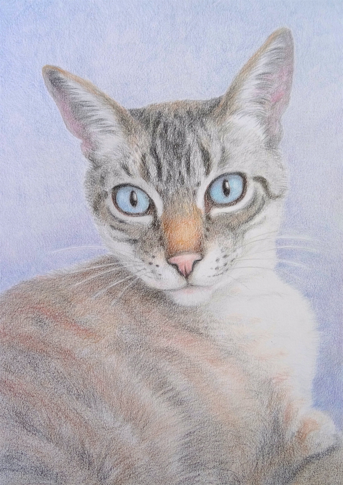 zephir-dessin-sur-commande